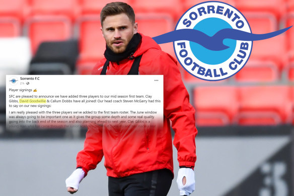 On Wednesday morning Sorrento Football Club announced it had appointed the 34-year-old forward David Goodwillie.