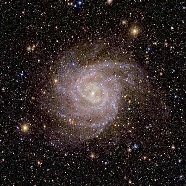 Hidden Galaxy