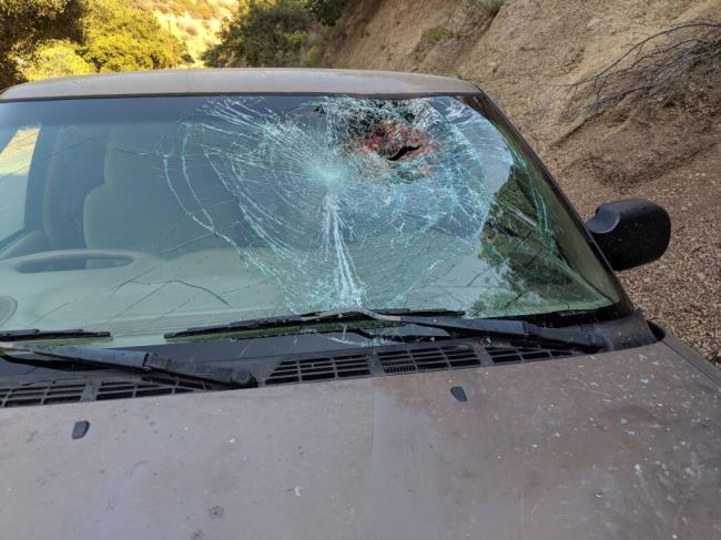 Picture of the pickup truck that crossed into Neil Myers’ lane and struck him on Aug. 4, 2018. (Photo courtesy of Neil Myers)