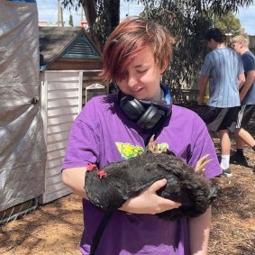 The chickens are very placid, and enjoy being picked up and looked after by the students.